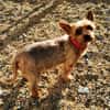 Trixie su. Gnadenbrotplatz