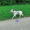 Jiji sanft, ruhig und liebevoll 7/23 DE
