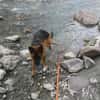NALA     CNNE