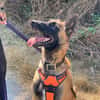 Sam