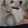 BUDY le magnifique