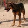 LUPO (Maria)
