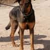 LUPO (Maria)