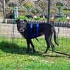 Bella8 sucht ein Zuhause