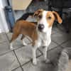 Lua sucht ihre Familie