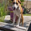 Lua sucht ihre Familie