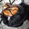 Lua sucht ihre Familie