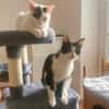 Penny und Pepe