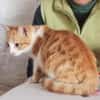 Kleiner Miraculix sucht Zuhause!