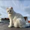 Geschwister Frieda und Mona