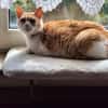 Unsere zarte und verkuschelte Maya