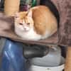 Unsere zarte und verkuschelte Maya