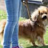 ROBY - Liebe, Zuneigung und Geduld