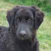 Ist Giasone Ihr neues Familienmitglied?