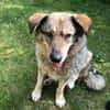 liebe Lotti sucht ihre Familie