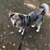liebe Lotti sucht ihre Familie