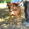 SHANA (en placement provisoire)