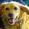 LOLA 2 sucht Familie