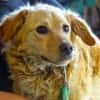 LOLA 2 sucht Familie
