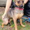 Kleine USCHKA sucht Zuhause
