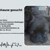 Zuhause gesucht für unsere Mory