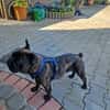Zuhause gesucht für unsere Mory