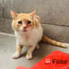 FILDOR