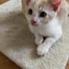 Winnie