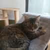 Minou - Teenie-Mama