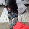Tessie