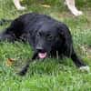 NEVIS * ein Herz aus Gold