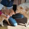 Janita und Jonny  zwei Seelen-
