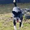 JONAH -sucht erfahrene Menschen-