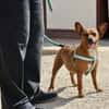 Yuki, offen, neugierig,  freundlich