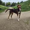 Zauberhafte Ruby sucht..