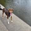 Zauberhafte Ruby sucht..
