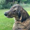 Liebevolle Sara sucht dich!