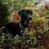 BUNDY -Aktiv & freundlich-
