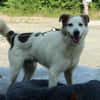 Justin unser kleiner Prinz