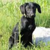 Herzensbrecher Maniso sucht dich