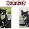 DOUNETTE (Réservée)
