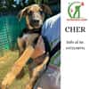 CHER