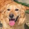 LOLA 2 sucht Familie