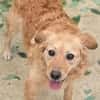 LOLA 2 sucht Familie