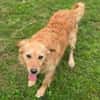 LOLA 2 sucht Familie