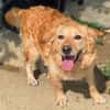 LOLA 2 sucht Familie