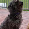 ***LILLY und ROXY!***