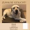 Isaa sucht ihr Zuhause fürs Leben