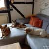 Lucia, Seniorin sucht Altersresidenz