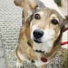 Lucia, Seniorin sucht Altersresidenz